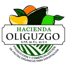 Logotipo de Hacienda Oliguzgo
